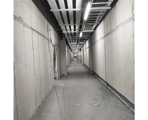 聚苯顆粒輕質(zhì)復(fù)合板